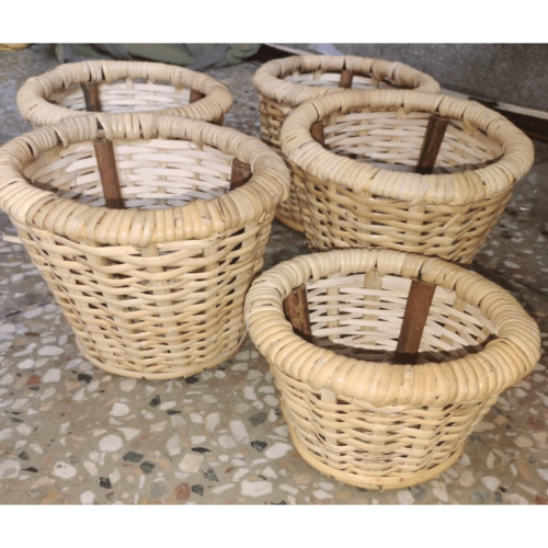 Cane planter (3 sizes available)